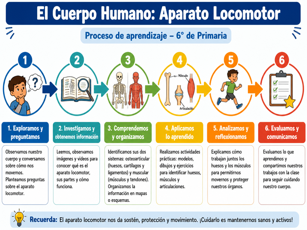 El Cuerpo Humano: Aparato Locomotor