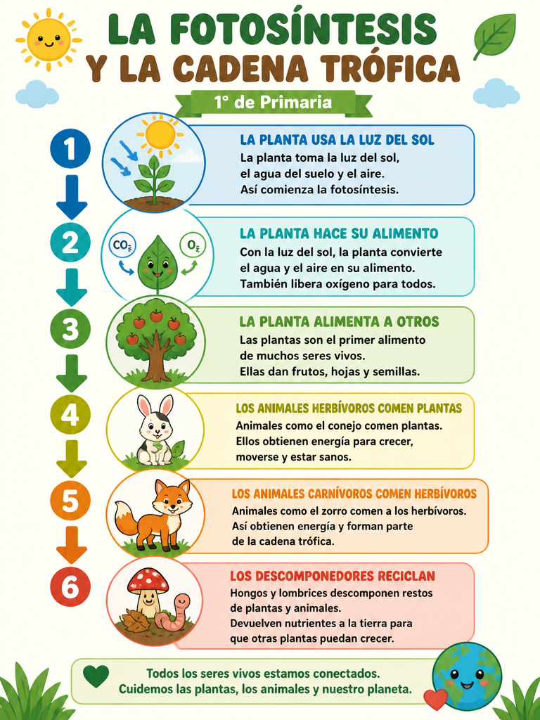 La Fotosíntesis y la Cadena Trófica