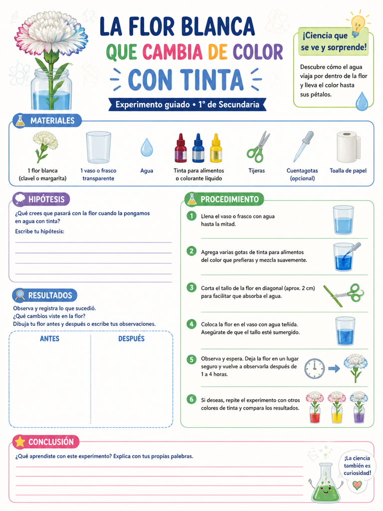 La Flor Blanca que Cambia de Color con Tinta