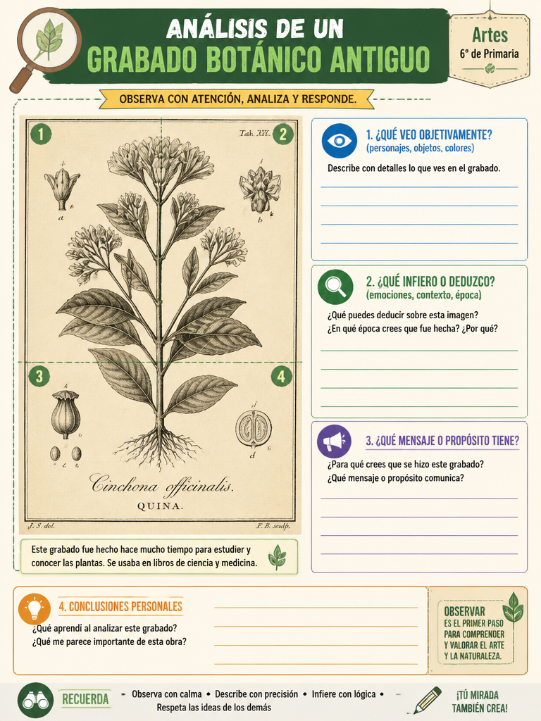 Análisis de un Grabado Botánico Antiguo