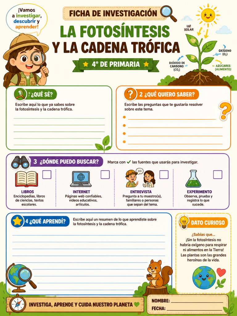 La Fotosíntesis y la Cadena Trófica