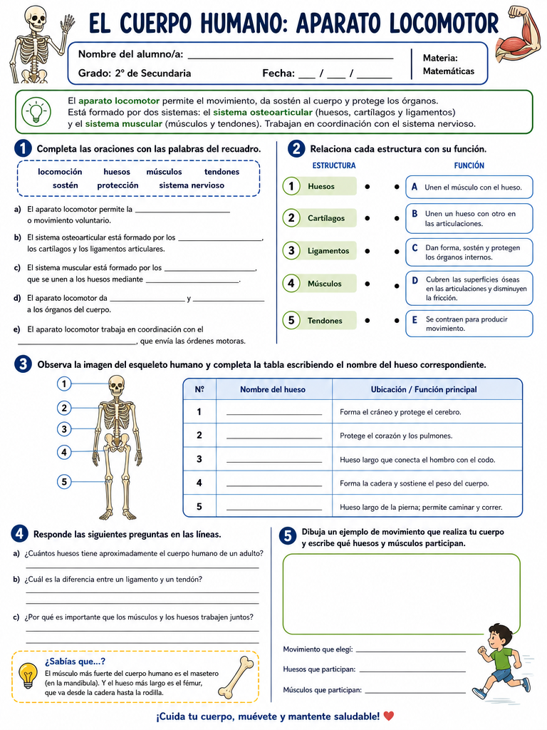 El Cuerpo Humano: Aparato Locomotor