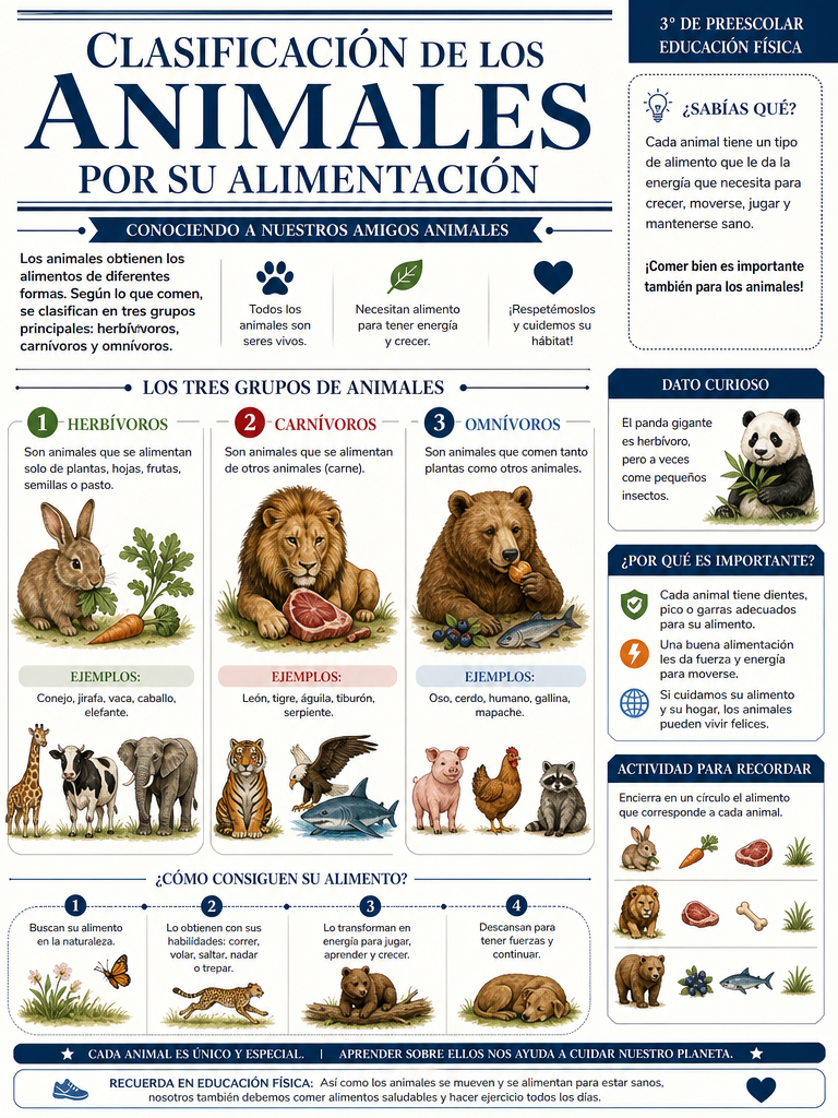 Clasificación de los Animales por su Alimentación