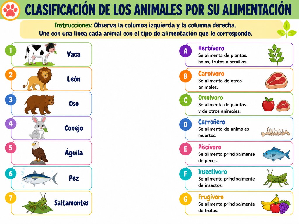 Clasificación de los Animales por su Alimentación