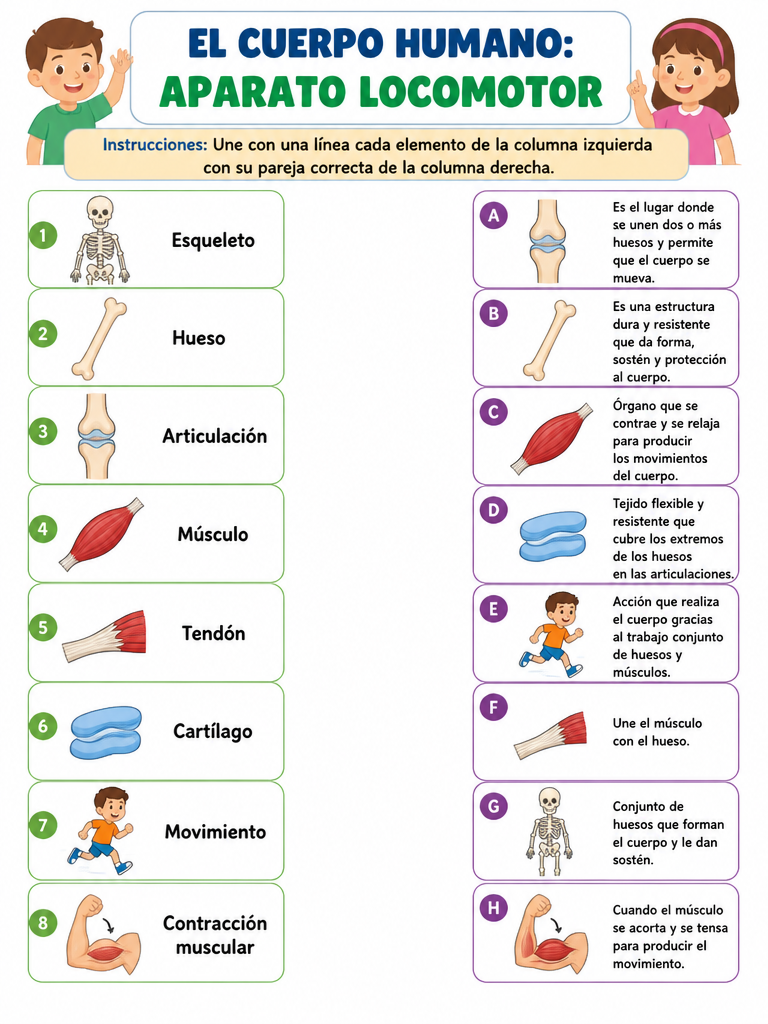 El Cuerpo Humano: Aparato Locomotor