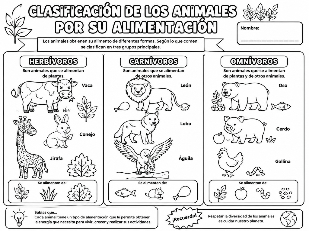 Clasificación de los Animales por su Alimentación