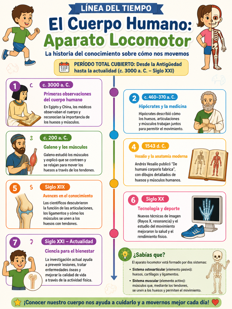 El Cuerpo Humano: Aparato Locomotor