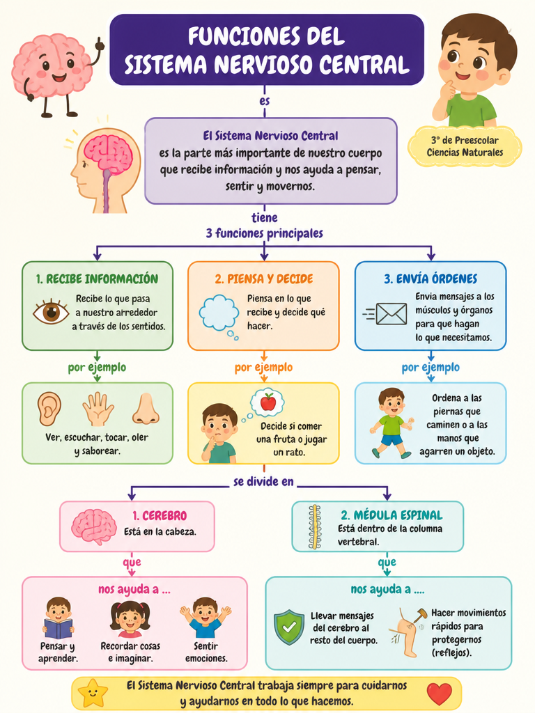 Funciones del Sistema Nervioso Central