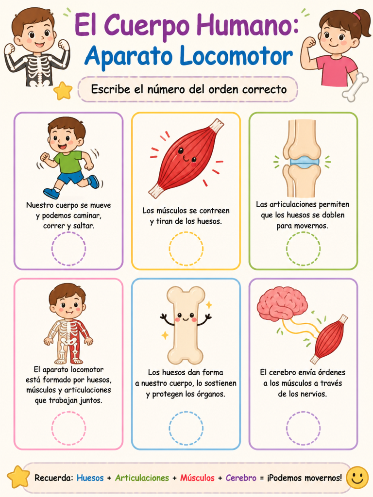 El Cuerpo Humano: Aparato Locomotor