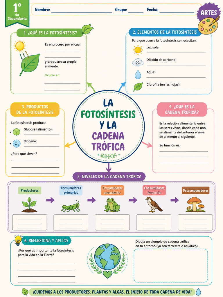 La Fotosíntesis y la Cadena Trófica