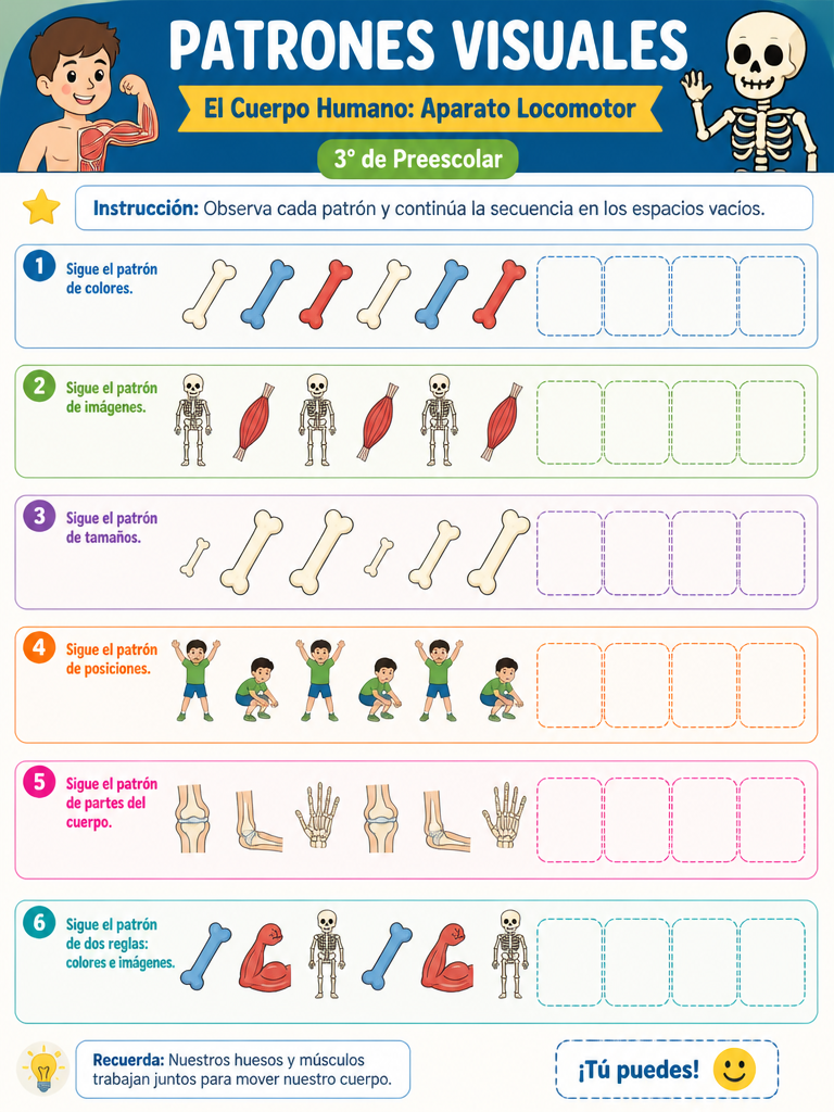 El Cuerpo Humano: Aparato Locomotor