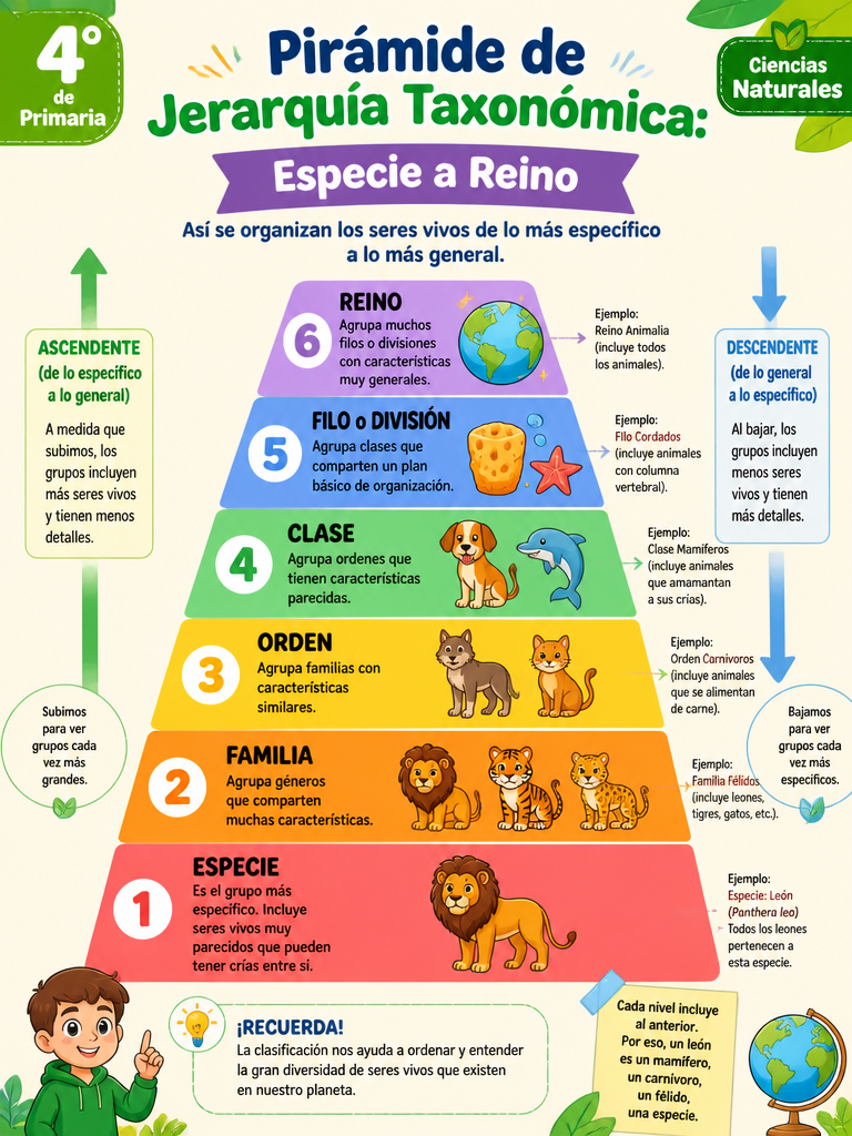 Pirámide de Jerarquía Taxonómica: Especie a Reino