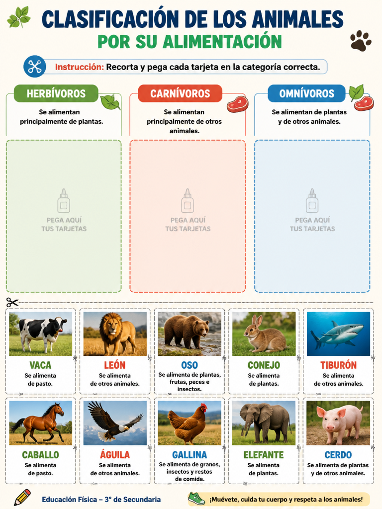 Clasificación de los Animales por su Alimentación