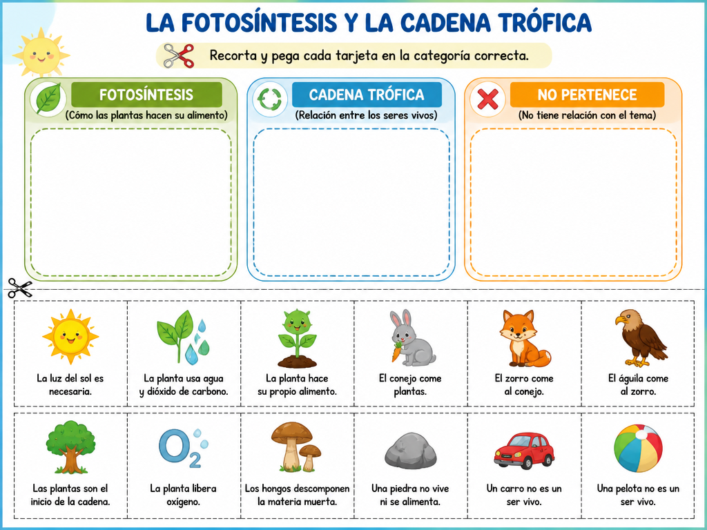La Fotosíntesis y la Cadena Trófica