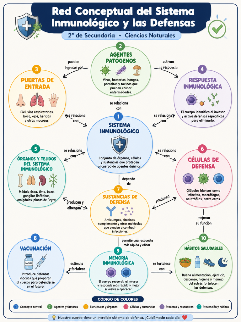 Red Conceptual del Sistema Inmunológico y las Defensas