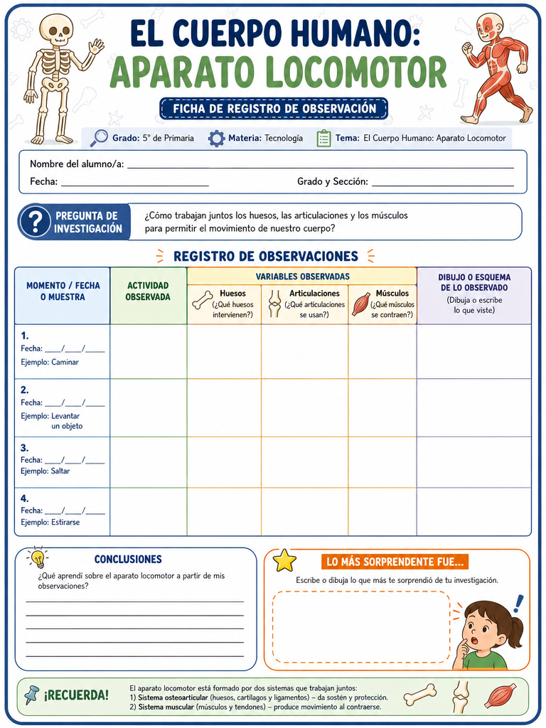 El Cuerpo Humano: Aparato Locomotor