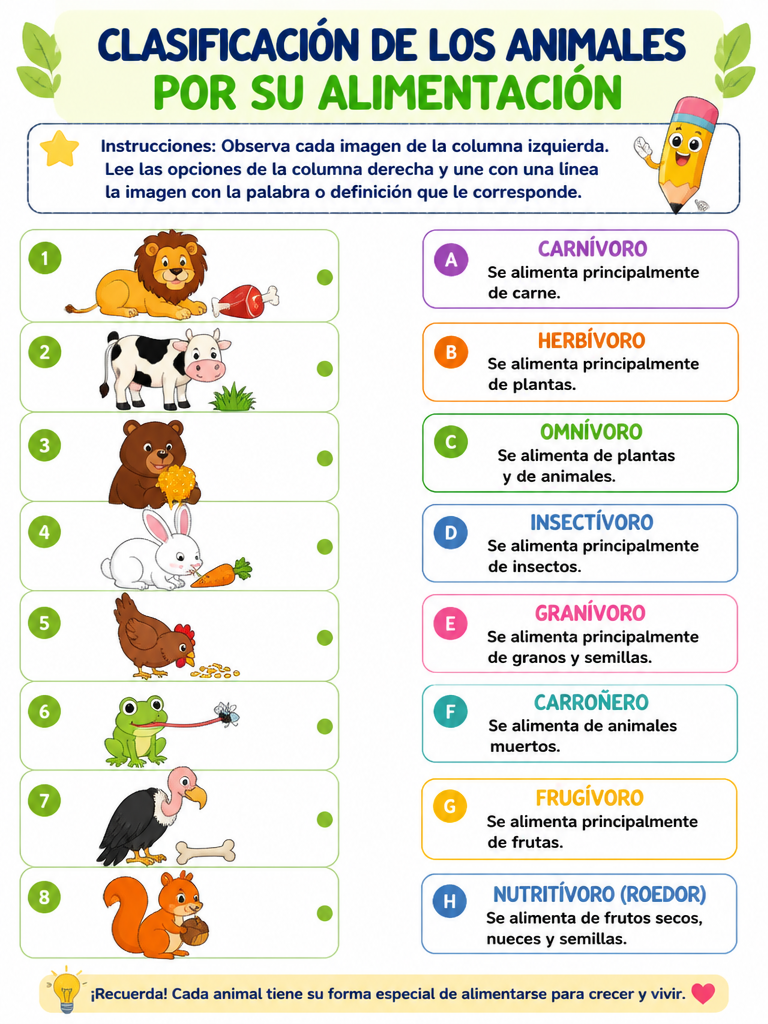 Clasificación de los Animales por su Alimentación