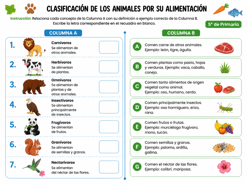 Clasificación de los Animales por su Alimentación