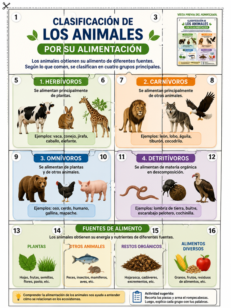 Clasificación de los Animales por su Alimentación