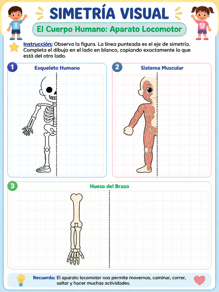 El Cuerpo Humano: Aparato Locomotor